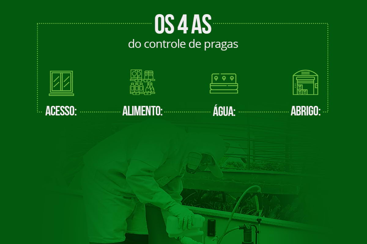 Os quatro As do controle de pragas em hospitais: Acesso, Alimento, Água e Abrigo